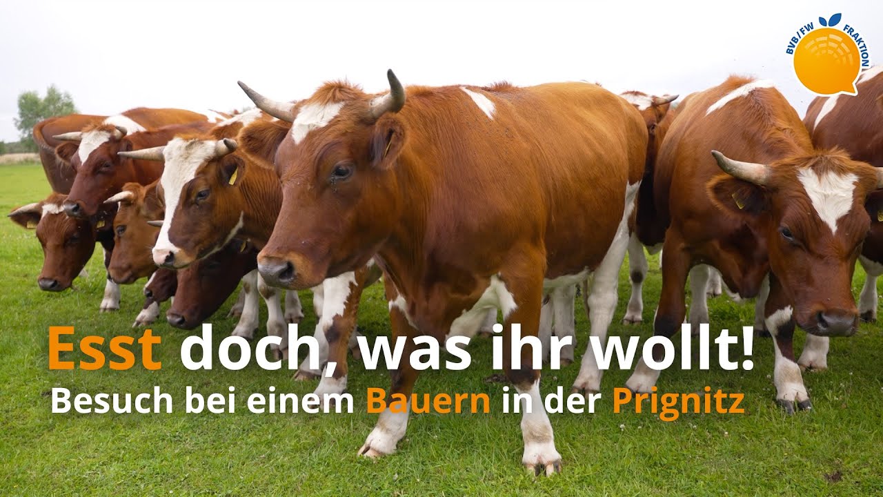Esst doch, was ihr wollt! Besuch bei einem Bauern in der Prignitz