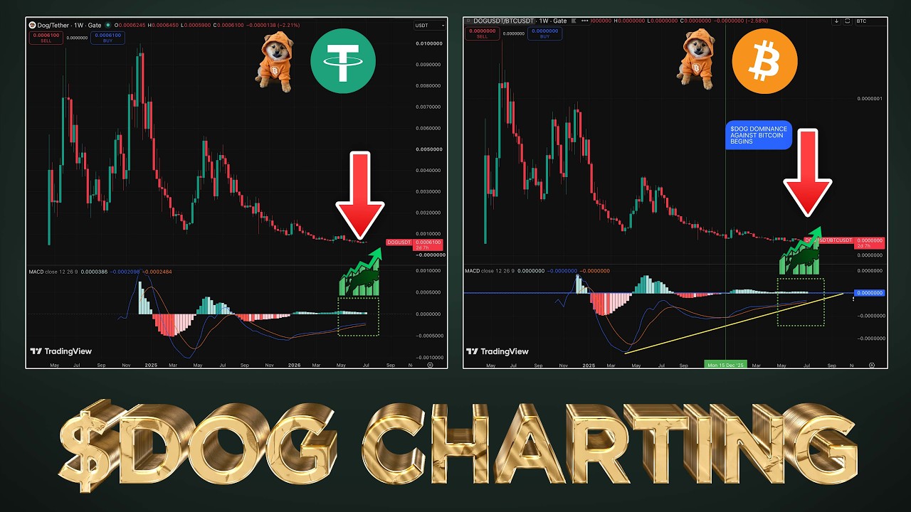 $DOG Bullish Weekly Timeframe Indicators (MUST WATCH 🐂)