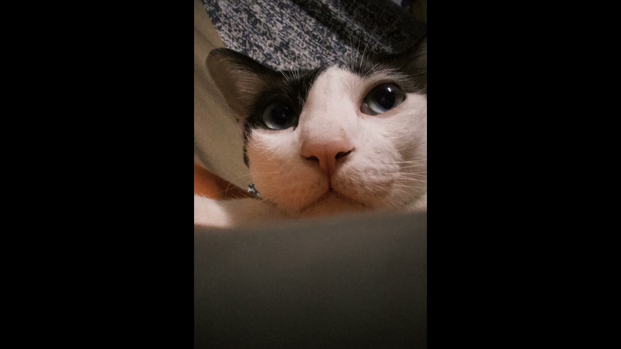 เต้นรำกันสักเพลงมั้ย ? (Want to dance ?) - appjs