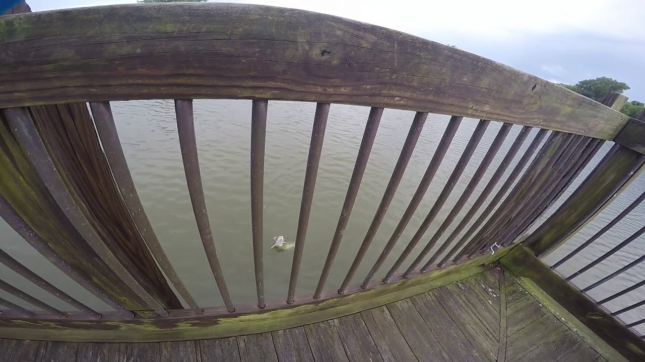 Pt 1 Extreme Catfishing vs Will Belsterling!!!