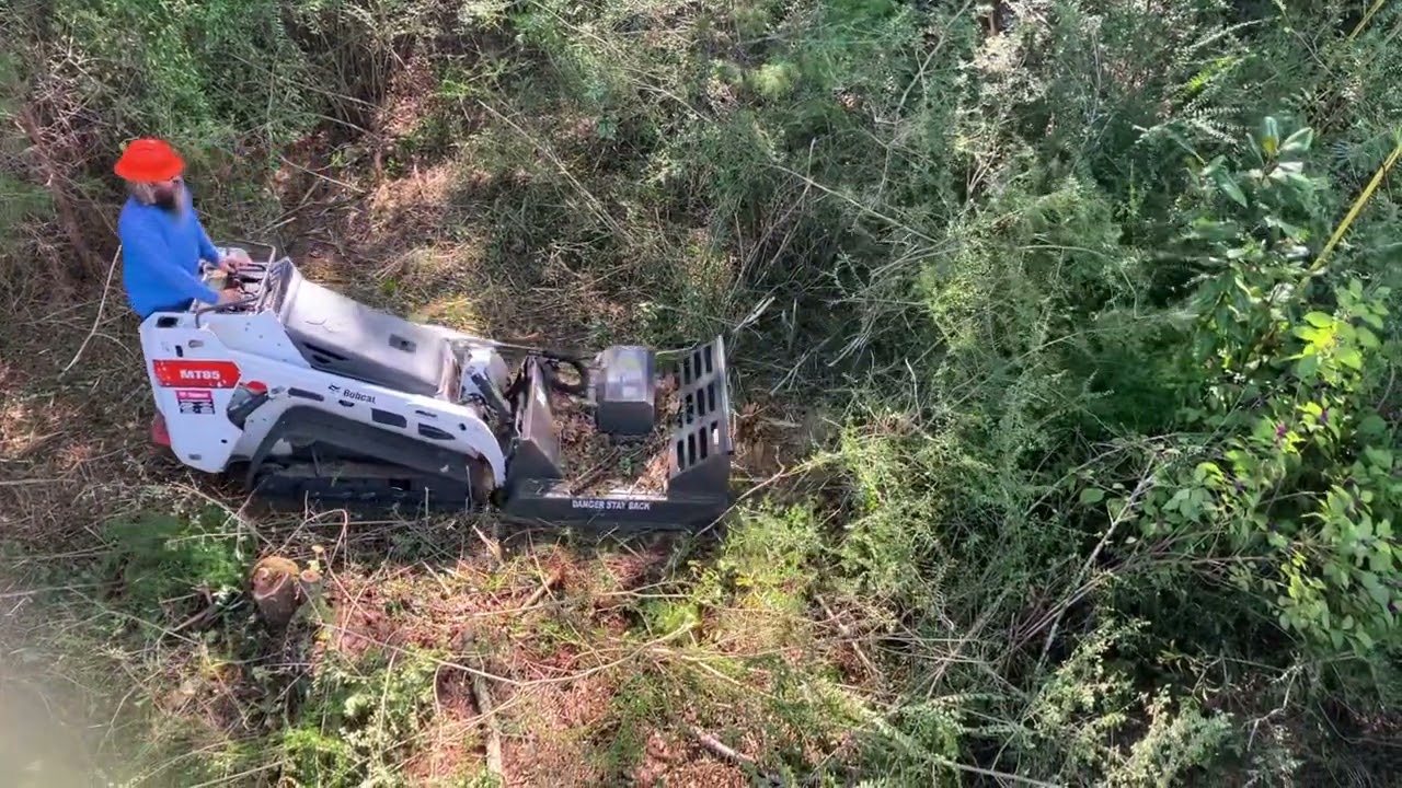 Mini Bobcat Brush Cutting