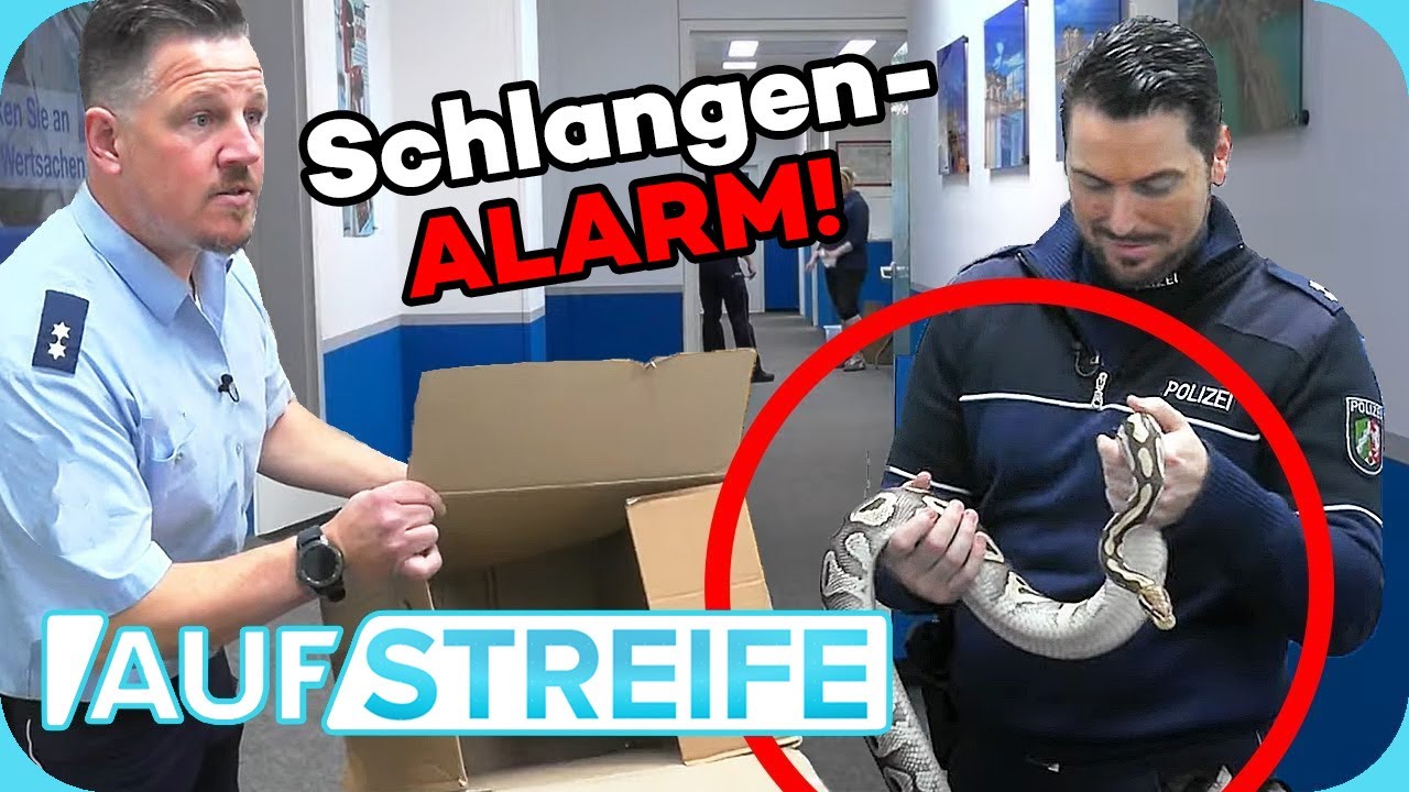 Panik auf dem Revier 🐍 „Hilfe, wo ist die SCHLANGE?!“ | Auf Streife | SAT.1