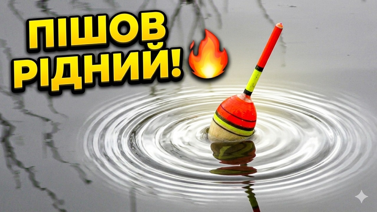 КАРАСЬ ПІШОВ! 😱 Шалений кльов на звичайний поплавок