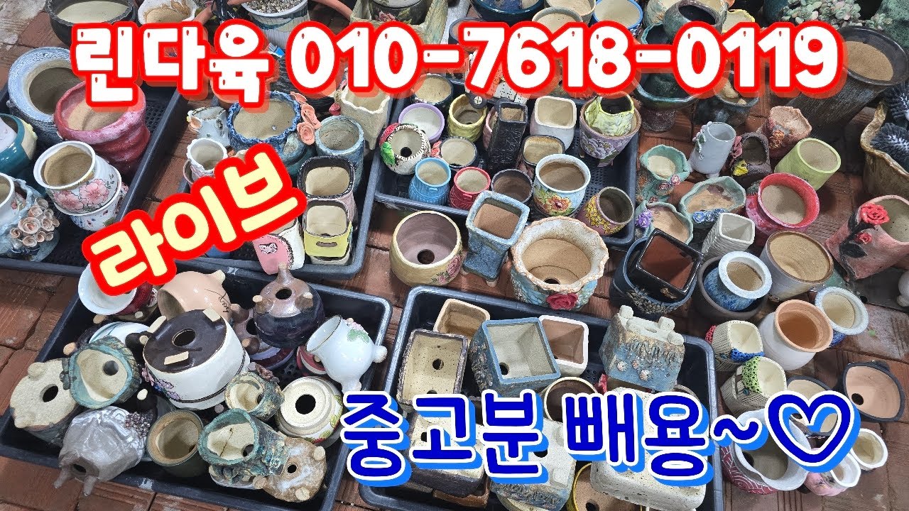 💥[3월 18일 라이브]린다육 010-7618-0119(카드가능) 중고군빼요~♡