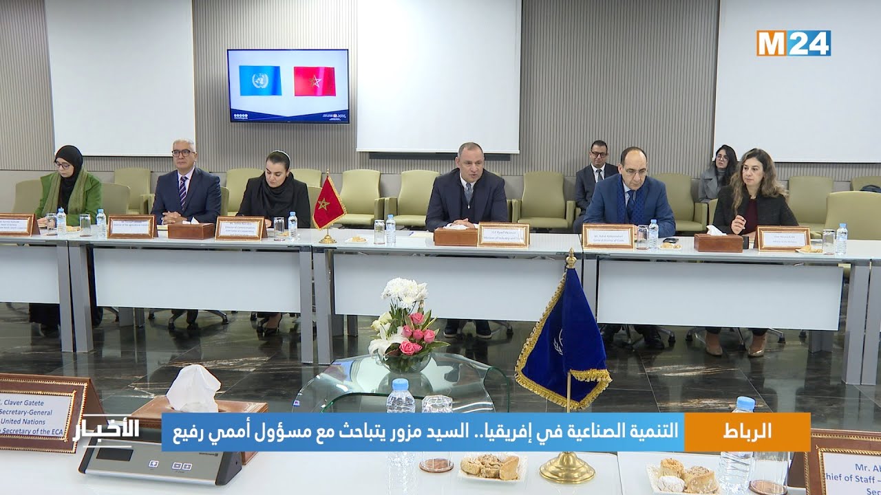 التنمية الصناعية في إفريقيا.. السيد مزور يتباحث مع مسؤول أممي رفيع