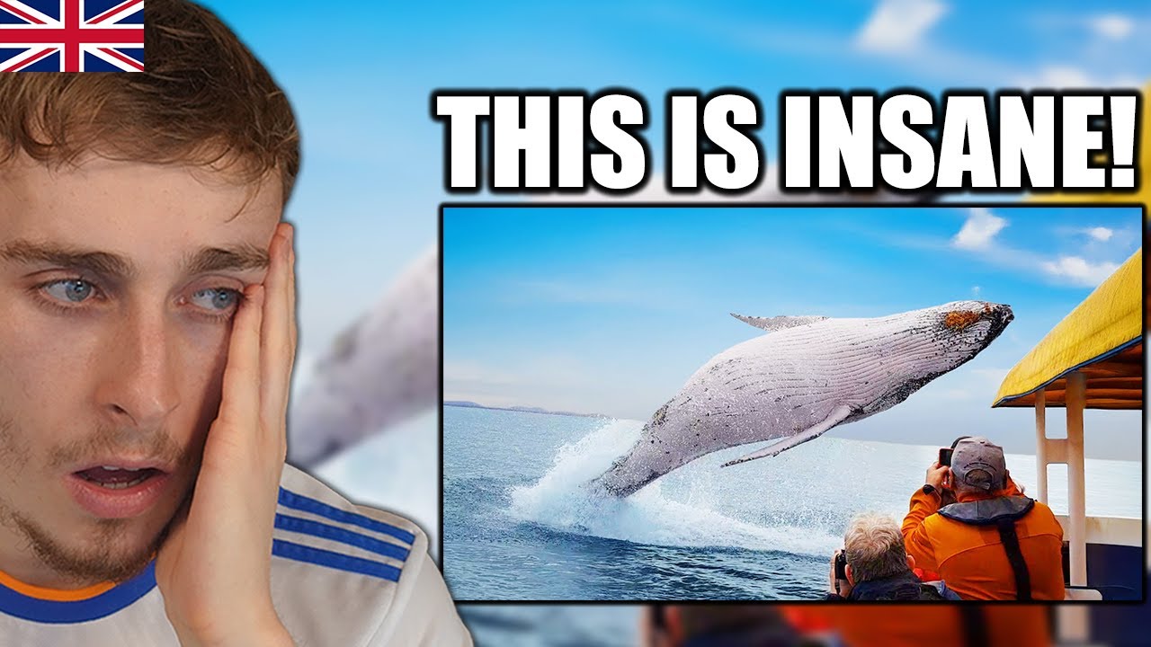 Reacting to The Craziest Animal Encounters of All Time