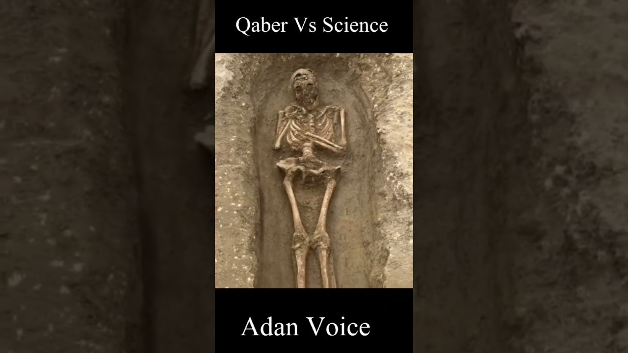 Qaber Vs Science | 