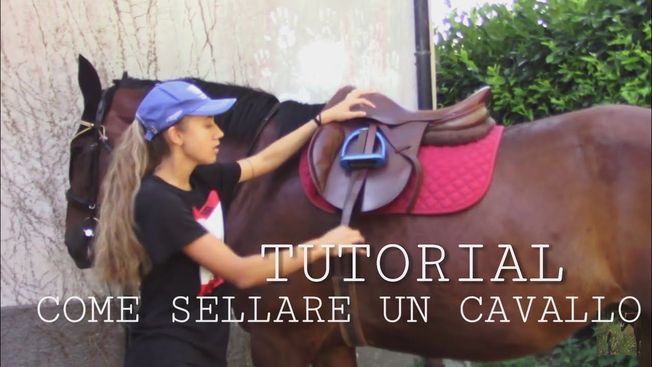 TUTORIAL COME SELLARE UN CAVALLO | Sara Aventino