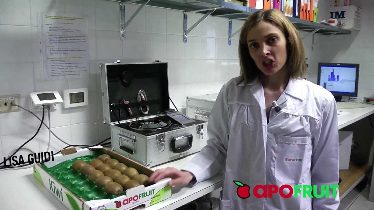 Controllo Qualità Del Kiwi