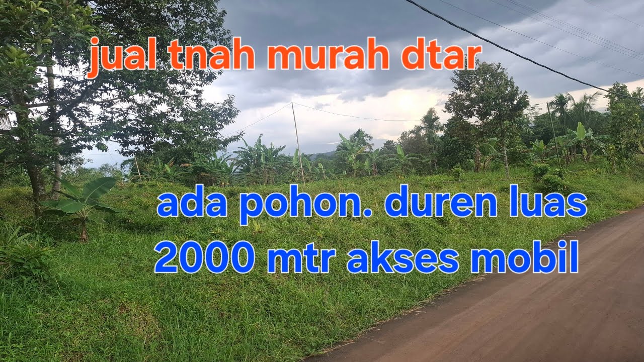 #jual kebun datar ada pohon duren nya luaas 2000 mtr iyah akses mobil viu bgus jlan lebar 