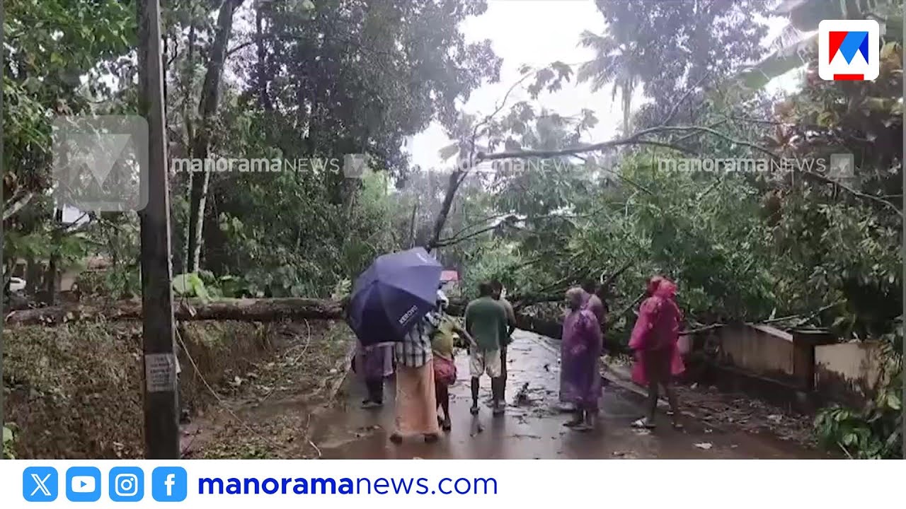 എറണാകുളം മലയോര മേഖലയിൽ കനത്ത മഴയും കാറ്റും | Ernakulam | Rain