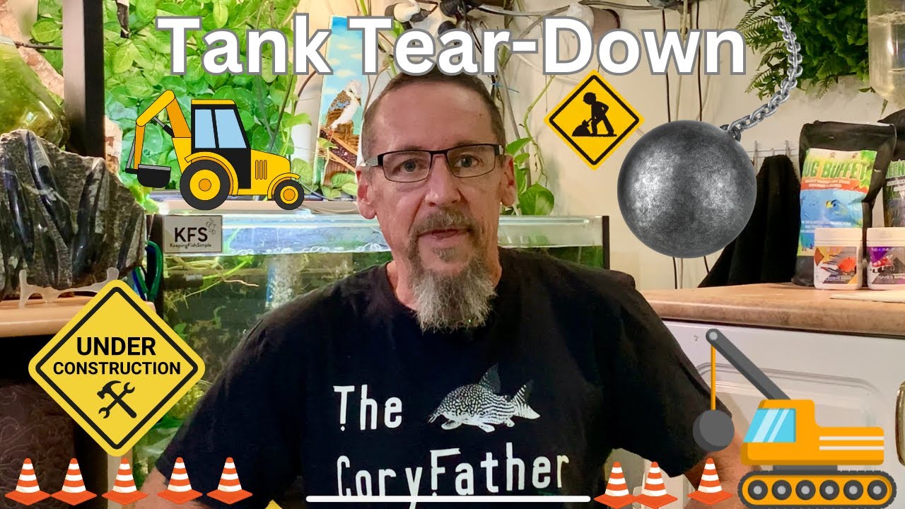 Its Tank Teardown Time ...