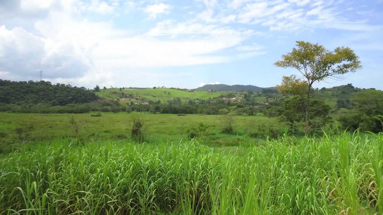 Joan&oacute;polis com Caipir&atilde;o