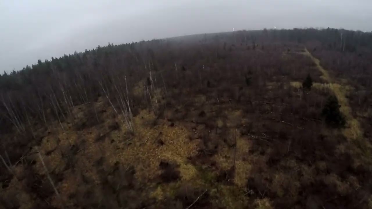 Depressive autumn in post-apocalyptic forest pt2