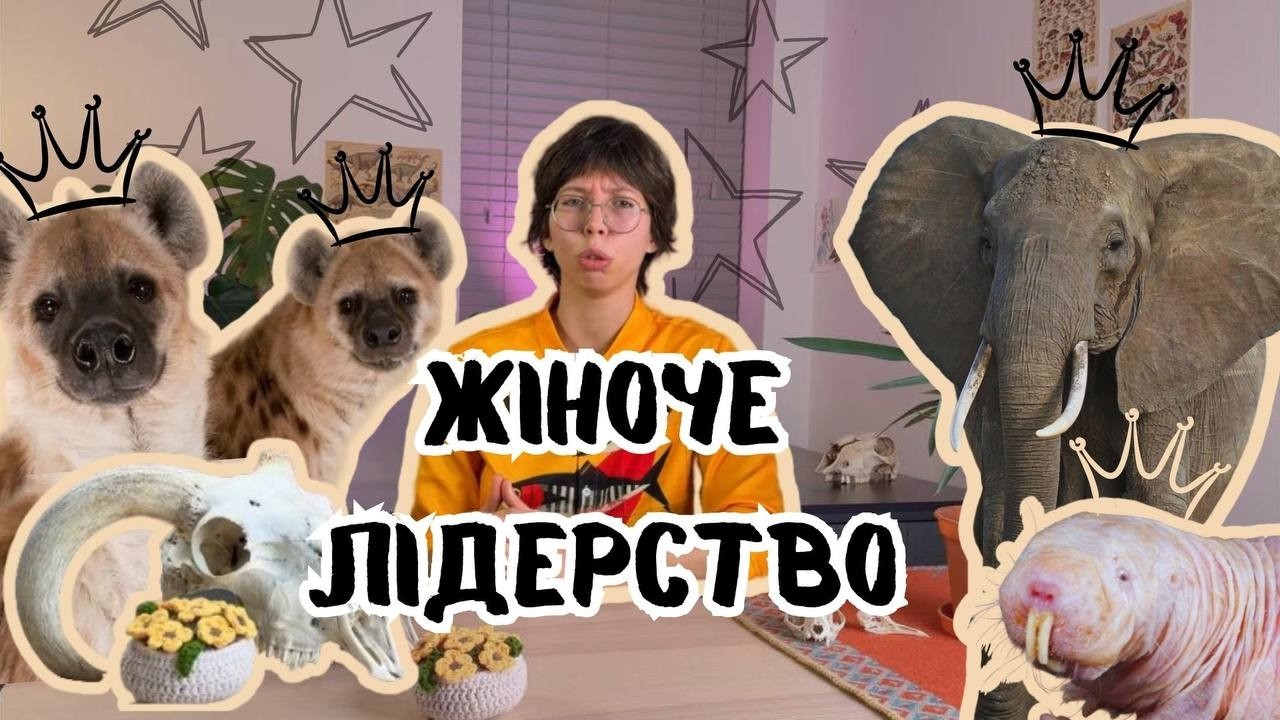 Матріархат у природі: які тварини обрали жінок головними?