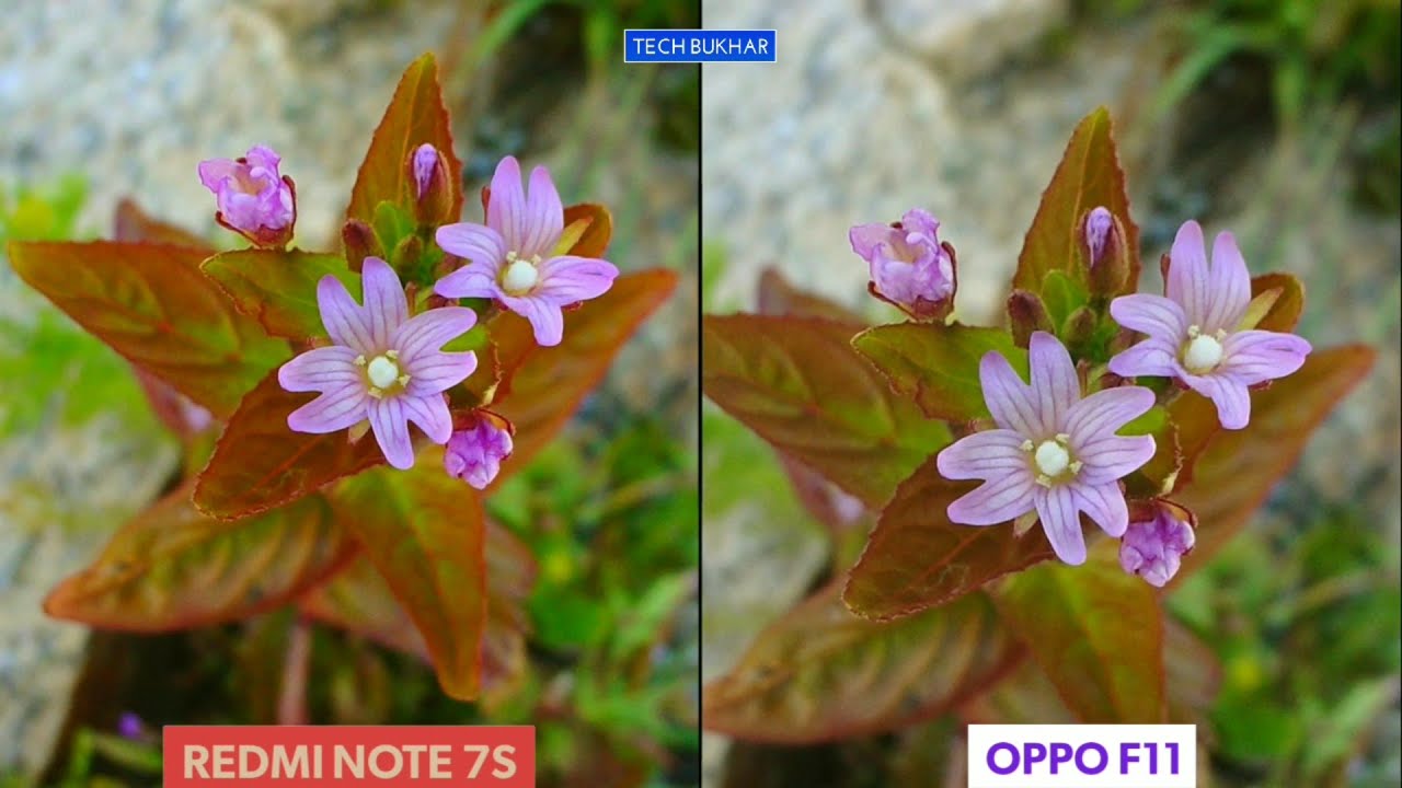 Redmi Note 7S vs Oppo F11 Camera Comparison Test || #oppof11, #RedmiNote7S, #TECHBUKHAR