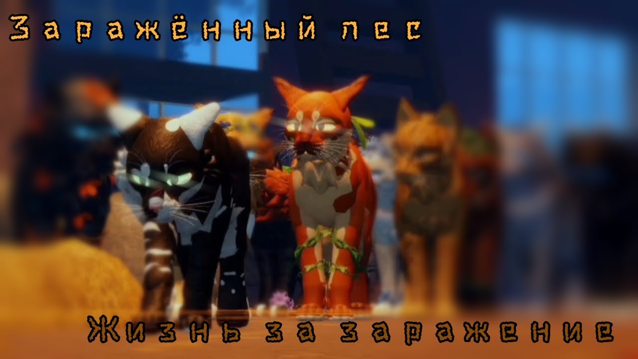 5 серия 