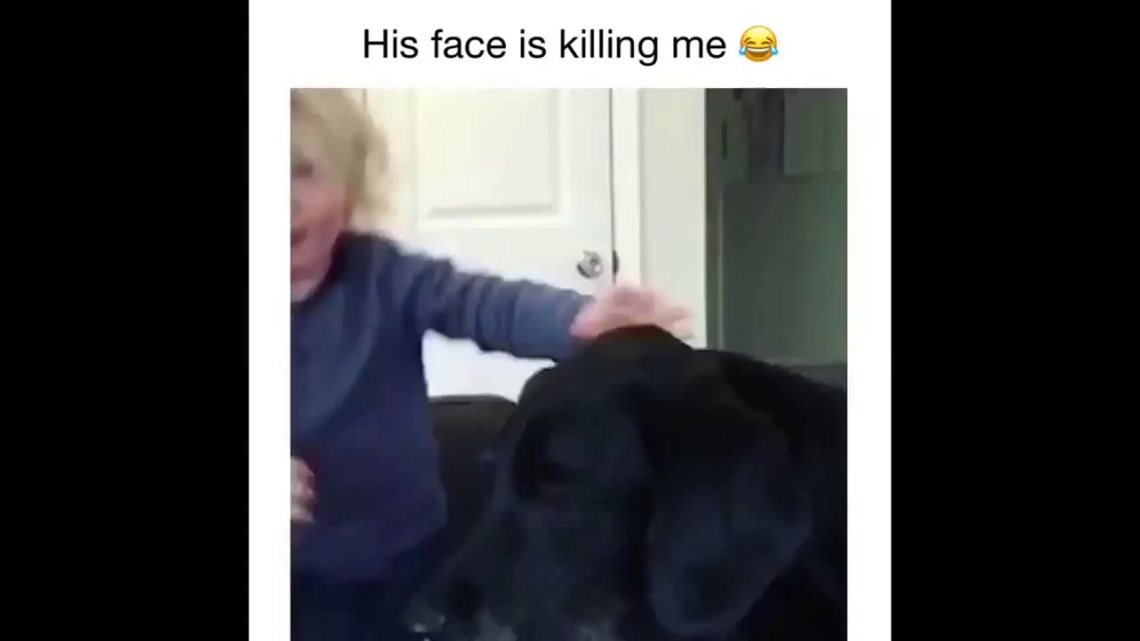 Bet You Can't Stop Laughing 🤣 | Weekly Laughter Dose 🤣🤣 | 2018 Updated