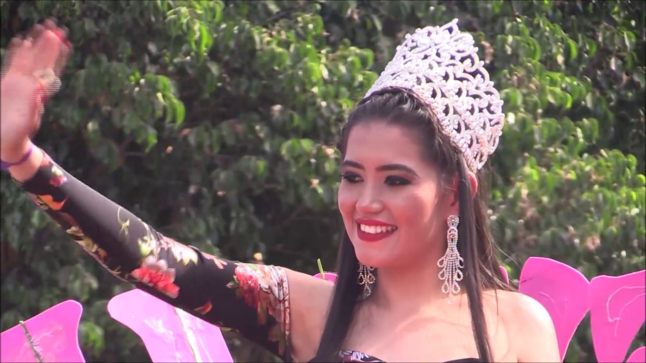 Desfile Zacapuato 2017