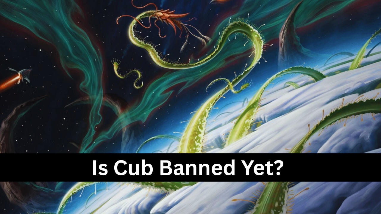 Is the Cub ever going to get banned??