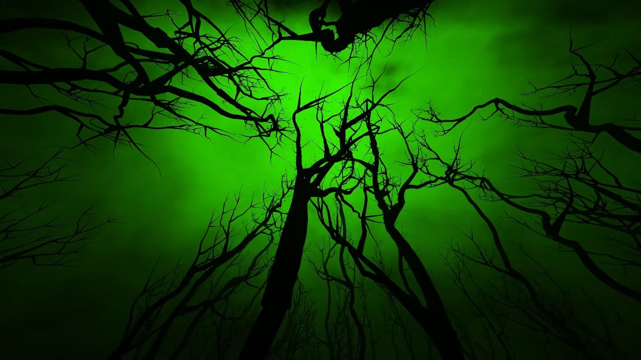 Green Creepy Trees Halloween 4K Motion Background Wallpaper Screen Saver