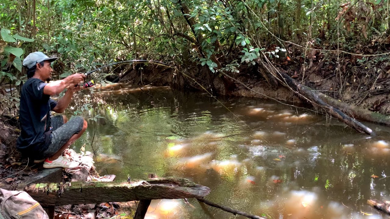 SARANG BABON BERTELUR!!! MANCING CUMA HITUNGAN DETIK UMPAN DI LEMPAR LANSUNG DI SAMBAR