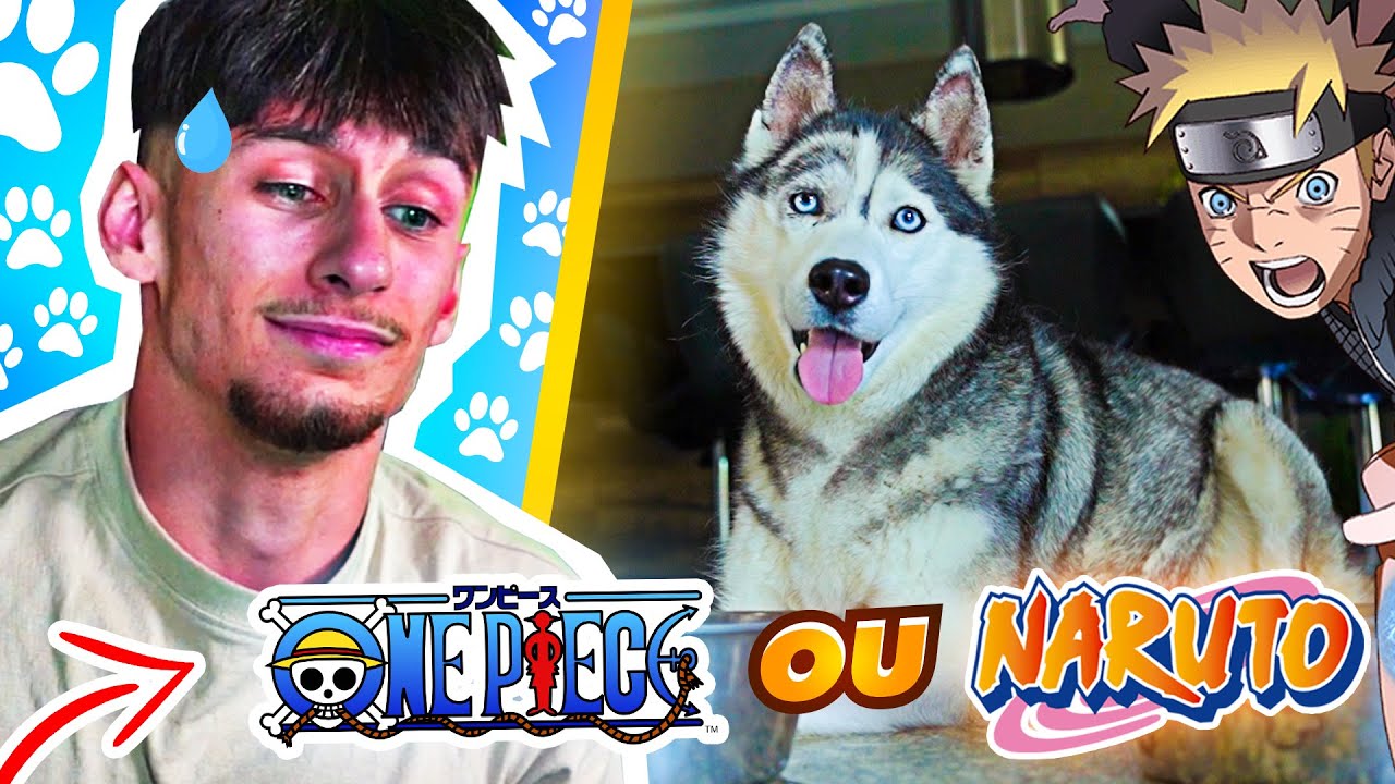 NALA CHOISIT SES ANIMES PRÉFÉRÉS ! 🐶❤️ (Naruto, One Piece, Demon Slayer, Jujutsu Kaisen,…)