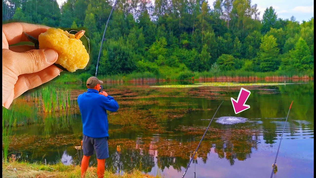 Pescuit CLASIC IN IARBA cu Mamaliga si Porumb La un LAC SUPERB