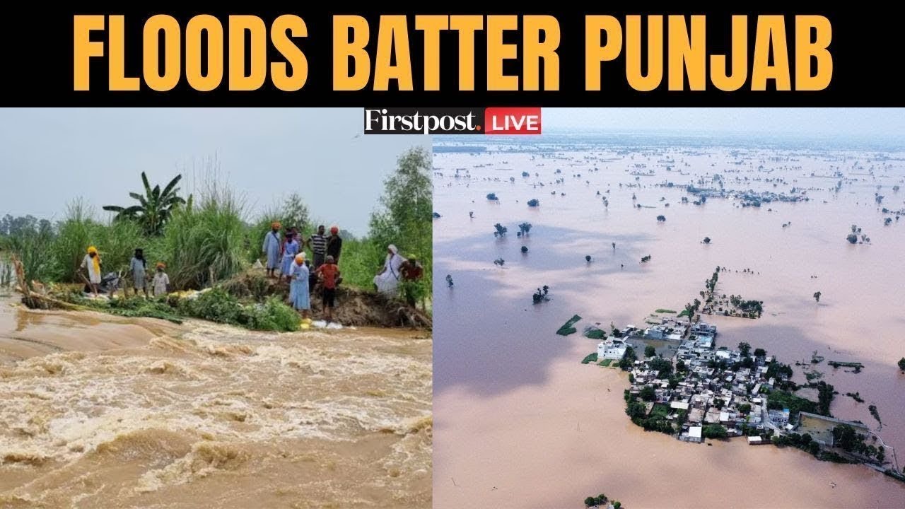 Punjab Floods LIVE: Villages Washed Away as Flash Floods Ravage Punjab; Ravi, Beas, Sutlej Overflow