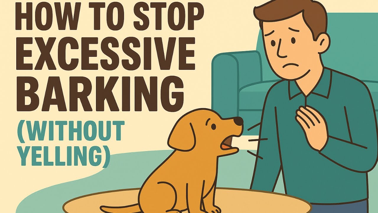 How to Stop Excessive Barking (Without Yelling