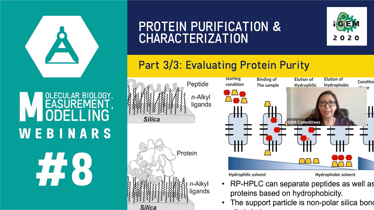 Week #8: Protein Purification and Characterization  3/3: Evaluating Protein Purity