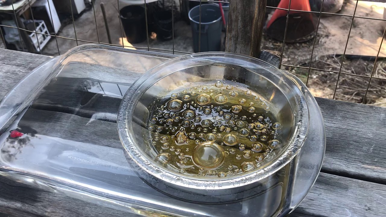 Purging your BHO at home