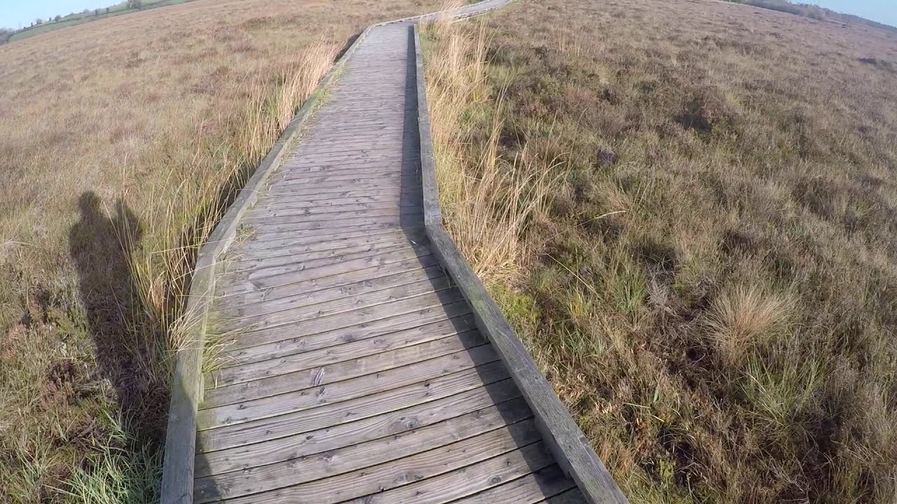 Clara Bog Nature Reserve (NPWS) boardwalk stroll Autumn 2020