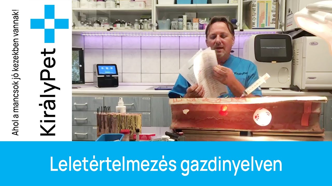 Leletértelmezés gazdinyelven - fb LIVE