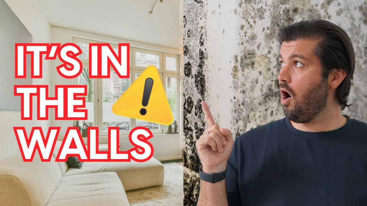 Can Mold Really Travel Through Walls? The SHOCKING Truth!