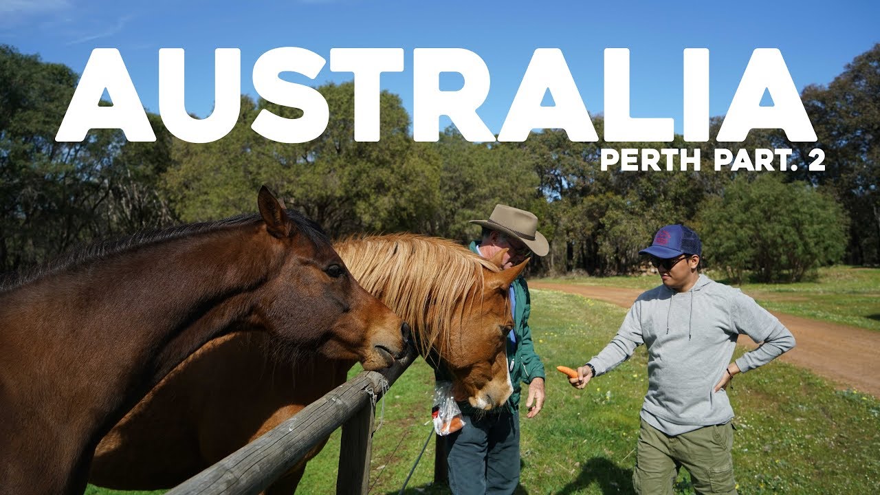 Explore Tempat Seru di PERTH!
