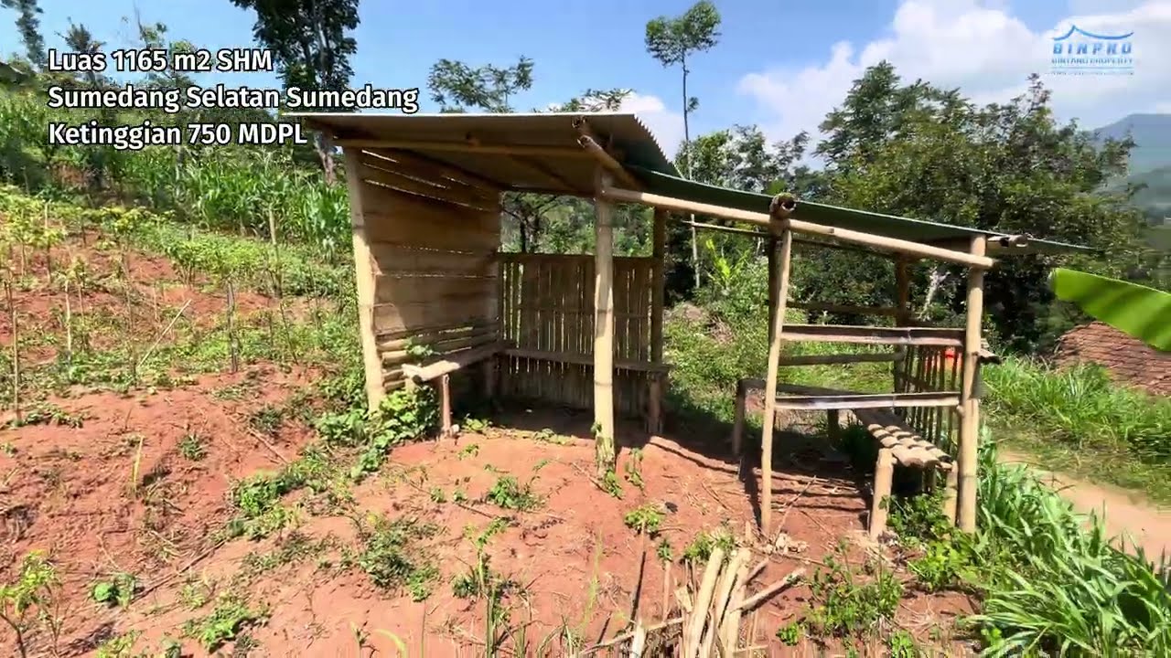 Dijual Tanah Pemandangan Bagus Luas 1165 m2 SHM Udara Cukup Dingin Akses Mobil di Sumedang Selatan