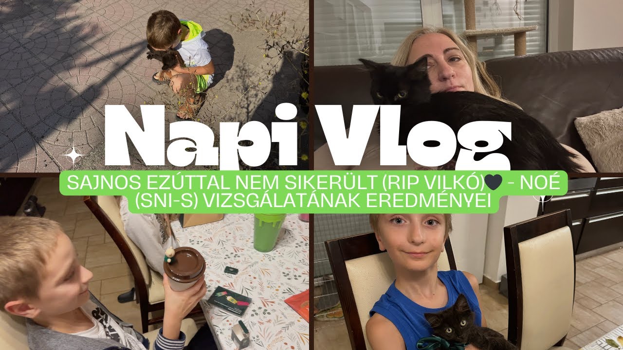 NapiVlog (nov.18.) - Sajnos ez&uacute;ttal nem siker&uuml;lt (RIP Vilk&oacute;)🖤 - No&eacute; (SNI-s) vizsg&aacute;lat&aacute;nak eredm&eacute;nyei
