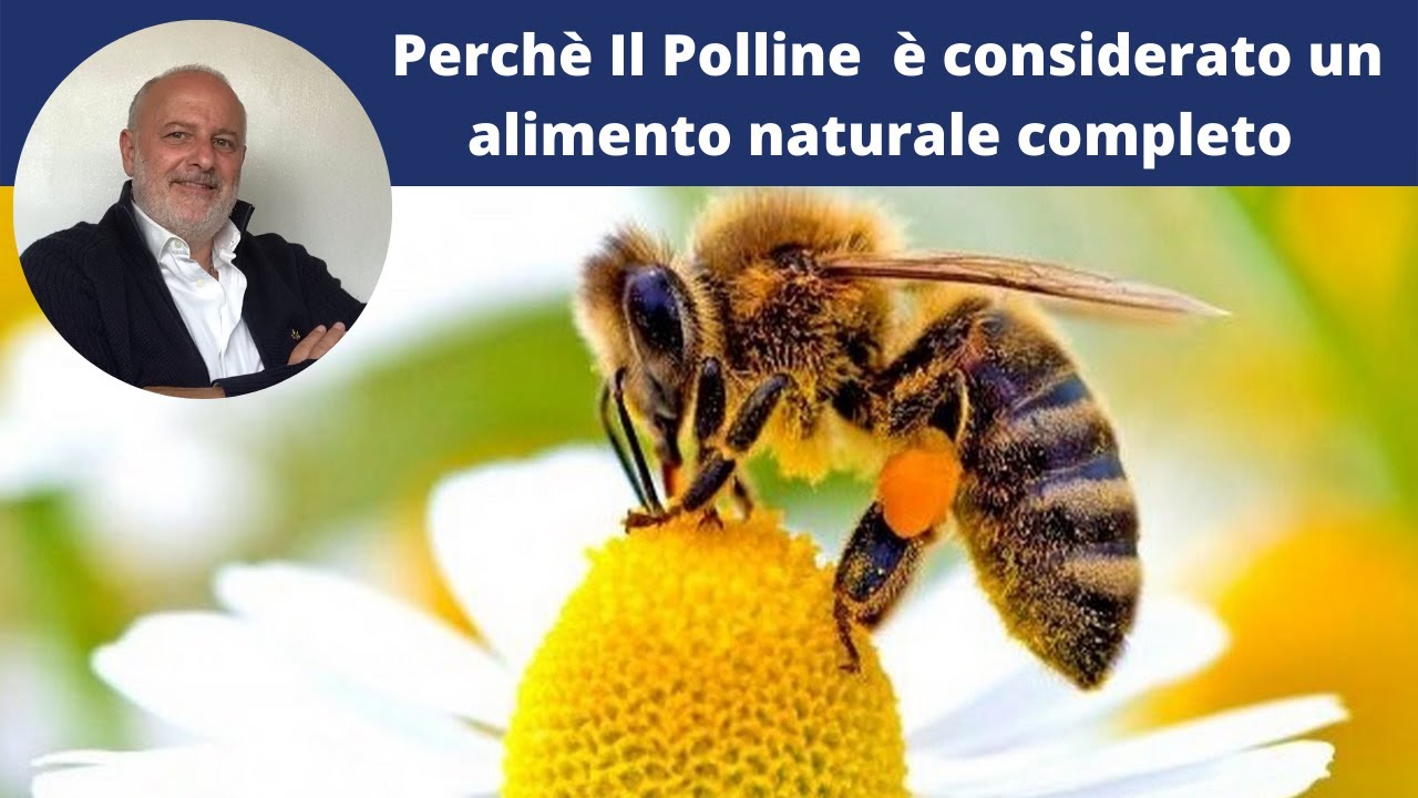 POLLINE COME SI USA  | Le proprietà benefiche del Polline d'api