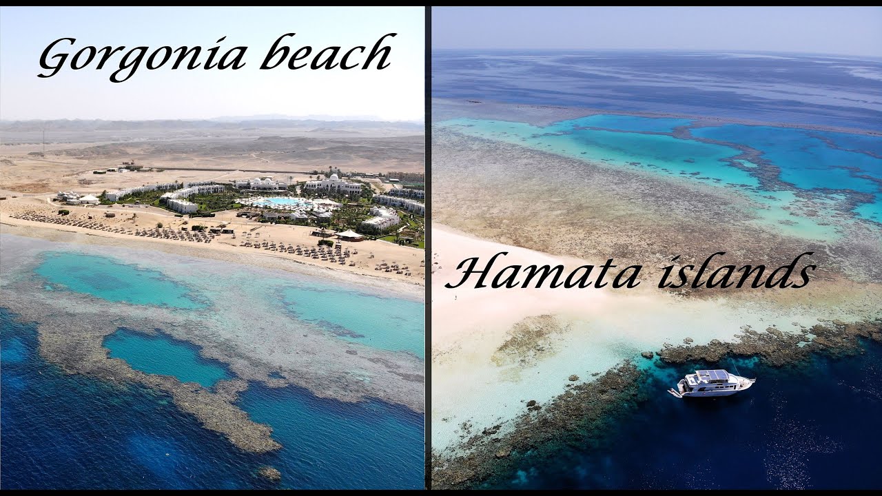 Marsa Alam: Gorgonia beach e isole Hamata