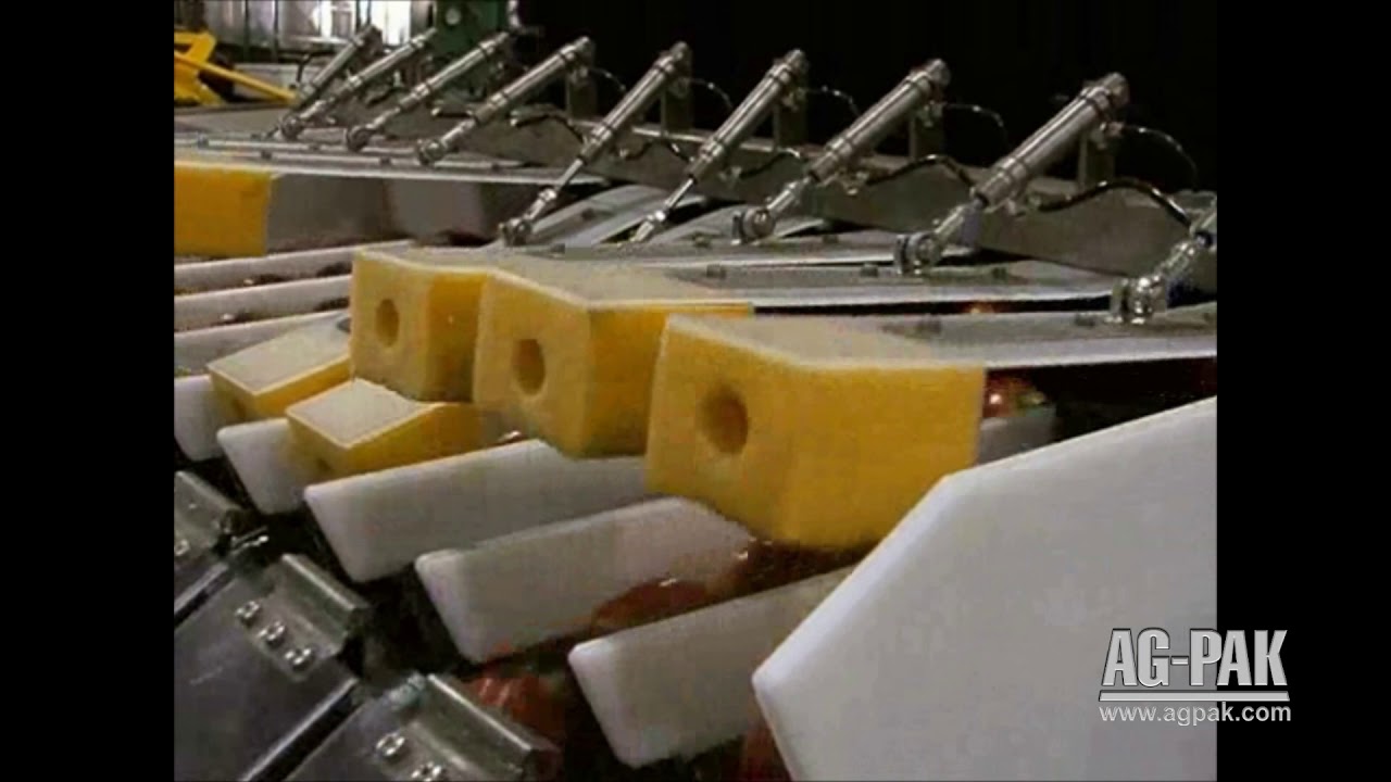 Ag Pak NEWTEC 2009A with PEB40 Weigher and Bagger System for Apples