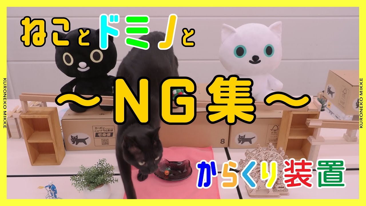ねことドミノとからくり装置/NG集
