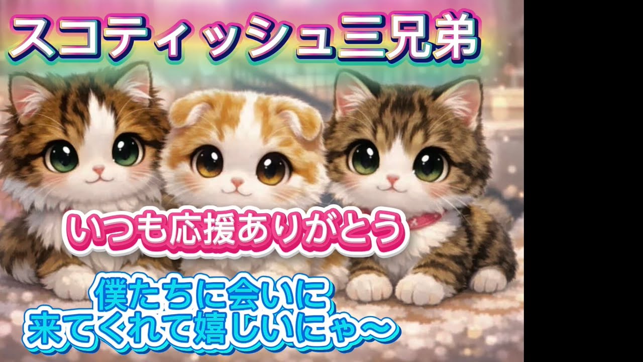 いつも僕たち三兄弟に会いに来てくれてありがとう