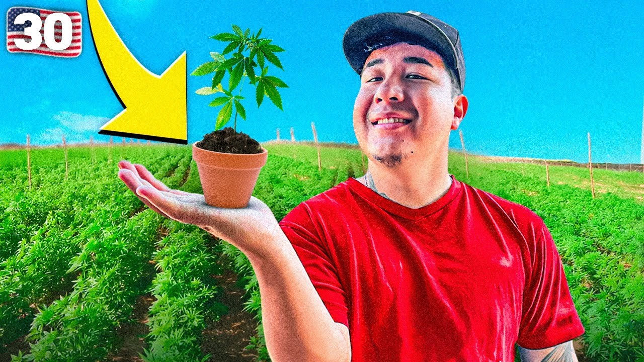 Encontre El Sueño Americano