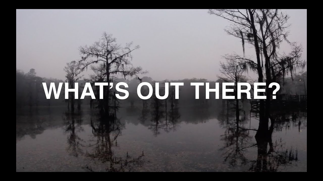 Episode 8 - The Creatures From the Brown Lagoon