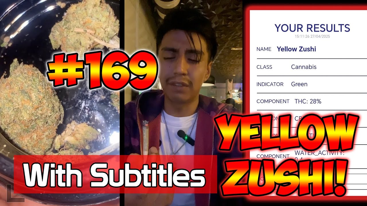 Yellow Zushi (C) Review With Subtitles #169