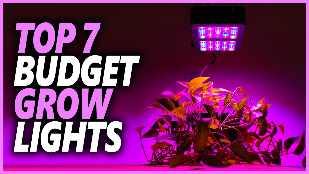 Best Budget Grow Light In 2024 | Top 7 Best Grow Lights For Plants