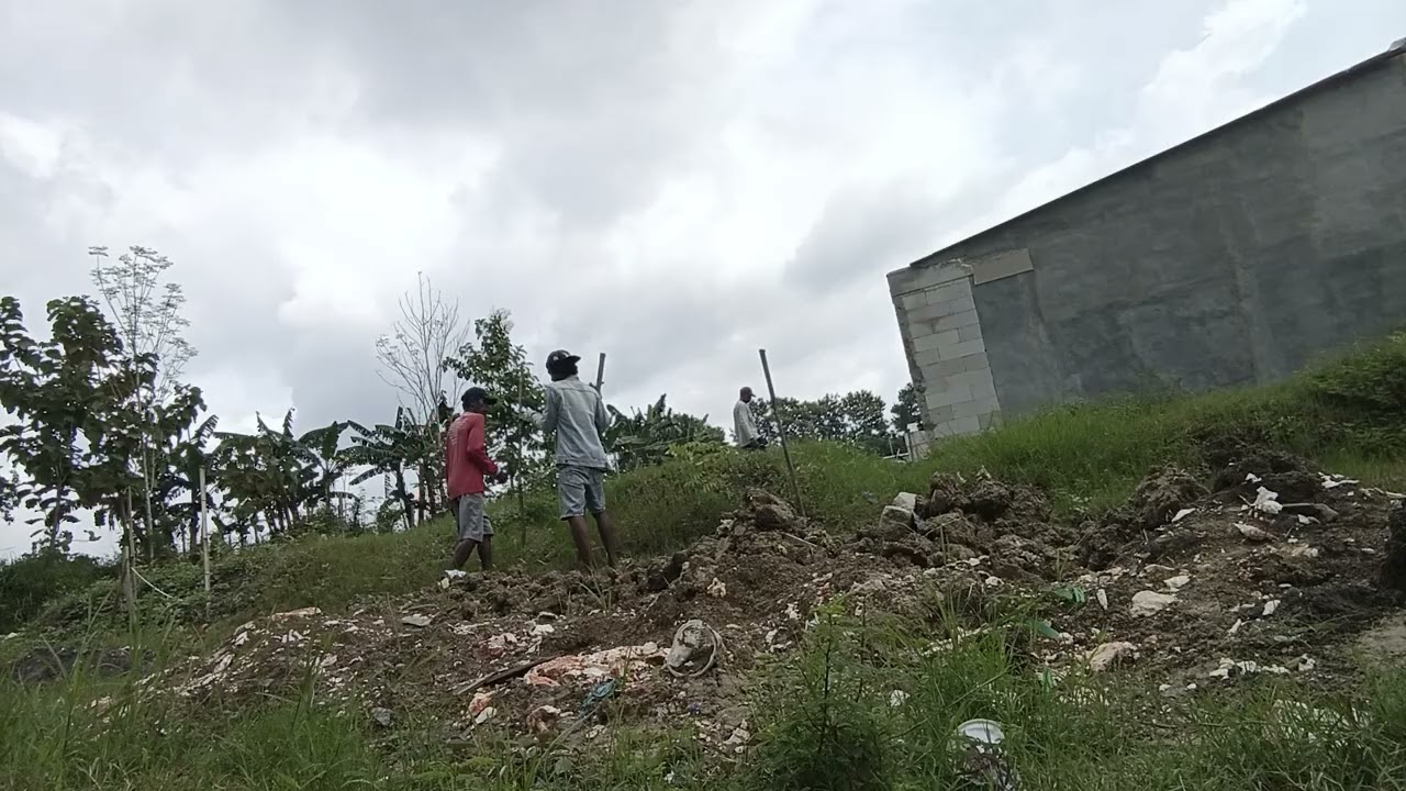 Mboplang rumah 