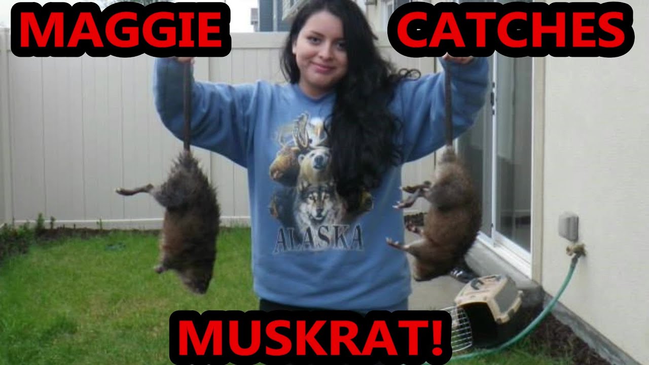 My Wife Maggie and Mink Hunting Muskrats!