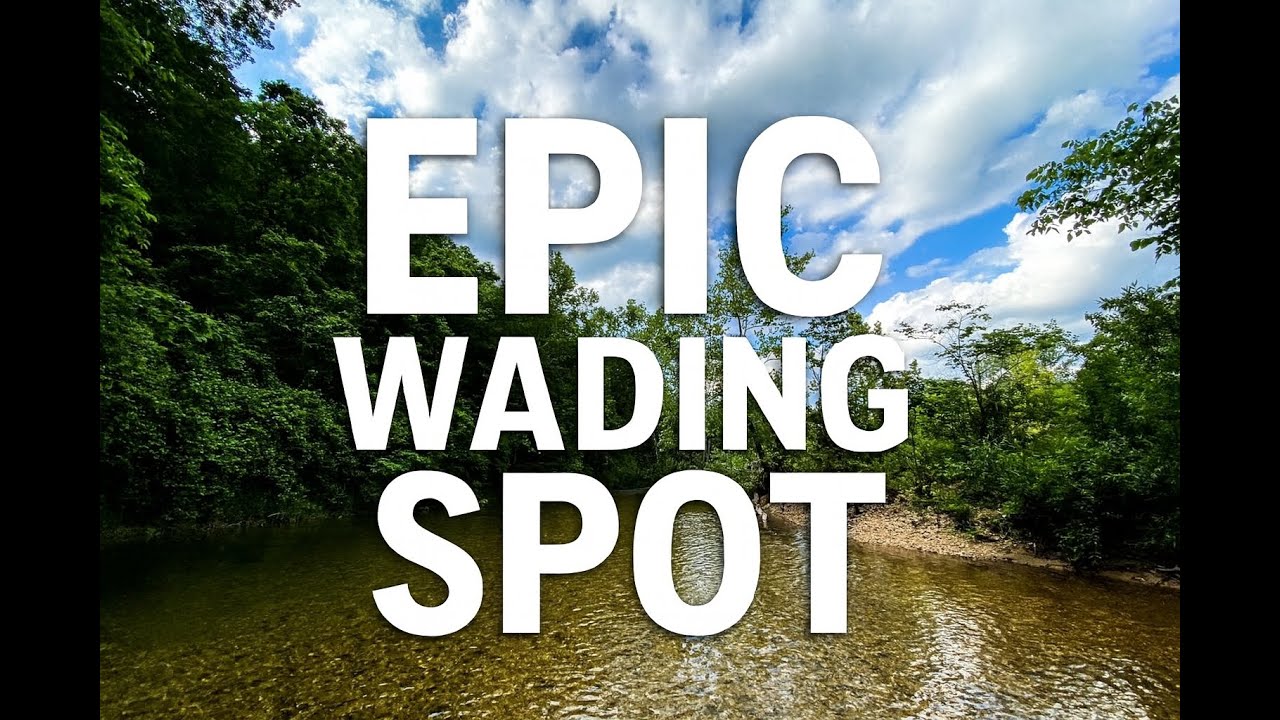 Echo Bluff State Park: A Perfect Day of Wading, Swimming & Ozark Beauty